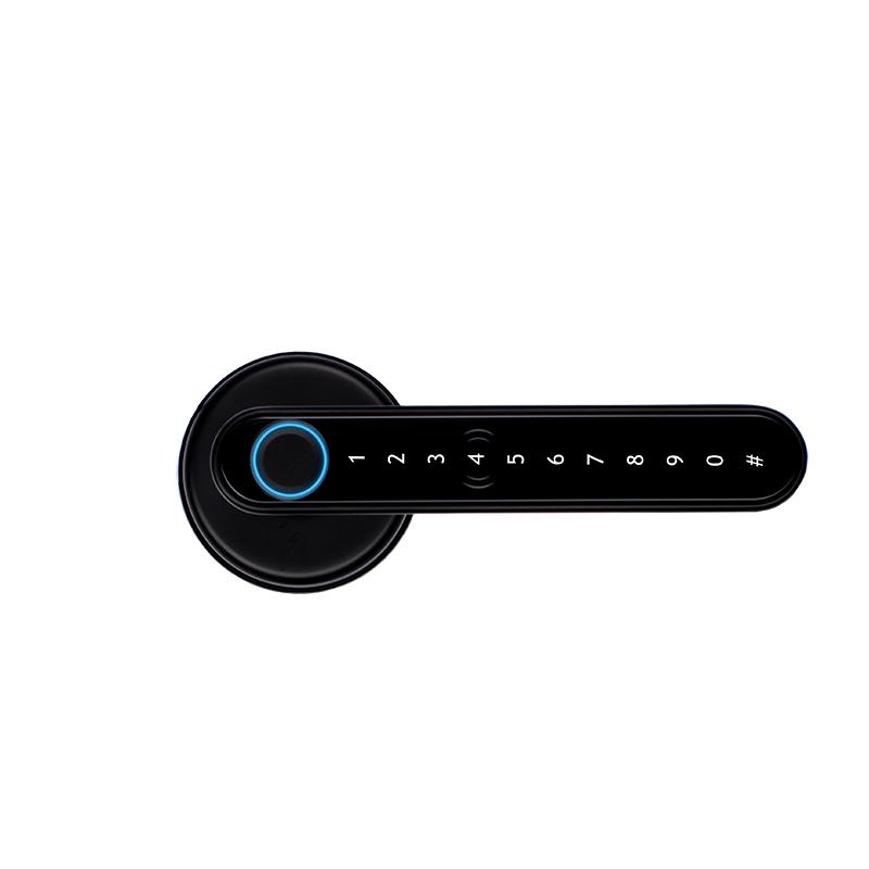 Lionhead Lock The Piper Entrance Lock Black Fingerprint, Pin, Prox, Ekey & Key Override Track Key (Latch & 4 X AAA Batteries Sold Separate)