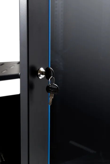 Certech 24RU 550mm Deep Swing Frame Cabinet With 1 x Fixed Shelf, 2 x Fans and 10 x Cage Nuts