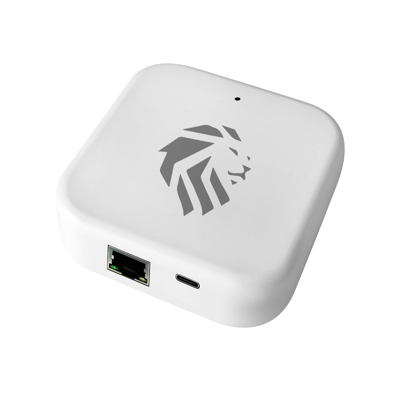 Lionhead Lock PoE Gateway, Bluetooth Support, Can Be Powered Via USB-C **USB CABLE NOT INCLUDED**