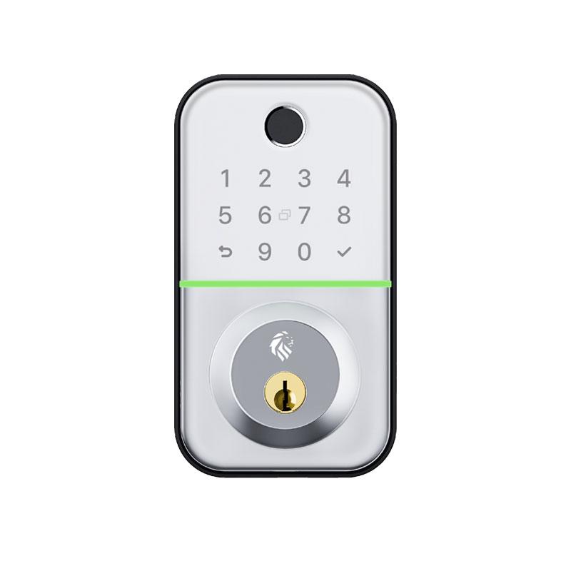 Lionhead Lock Flinders Luxe Series **SILVER** Deadbolt Lock With BLE, PIN Entry, Fingerprint / Prox Reader, E-Key & Key Overridable Lock, PD Cylinder **REQUIRES 4x AA BATTERIES**